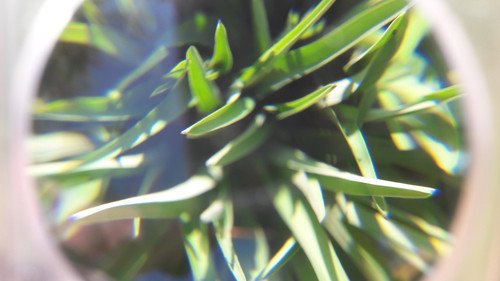 Lens; Publicdomain; Cc0; Freeimage;.jpg