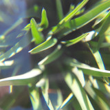 Lens; Publicdomain; Cc0; Freeimage;