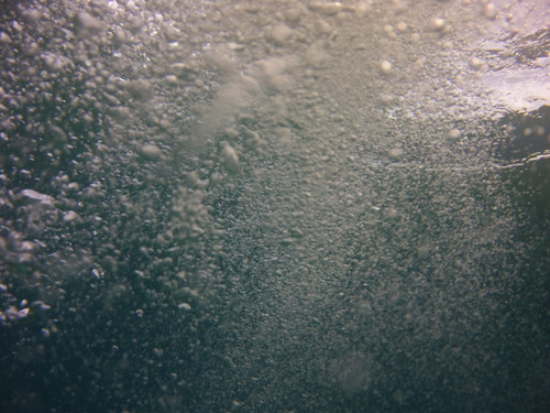 Bubbles; Publicdomain; Cc0; Freeimage;.jpg