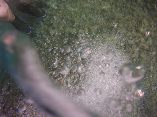 Bubbles; Publicdomain; Cc0; Freeimage;.jpg