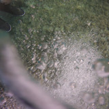 Bubbles; Publicdomain; Cc0; Freeimage;