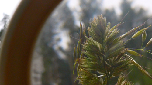 Lens; Publicdomain; Cc0; Freeimage;.jpg