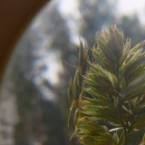 Lens; Publicdomain; Cc0; Freeimage;