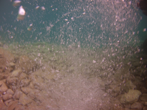 Bubbles; Publicdomain; Cc0; Freeimage;.jpg