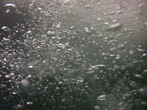 Bubbles; Publicdomain; Cc0; Freeimage;.jpg