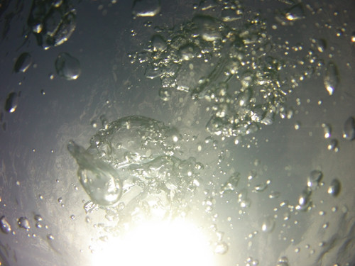 Bubbles; Publicdomain; Cc0; Freeimage;.jpg