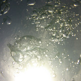 Bubbles; Publicdomain; Cc0; Freeimage;