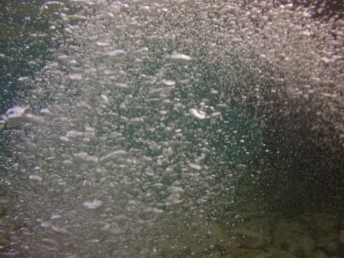 Bubbles; Publicdomain; Cc0; Freeimage;.jpg