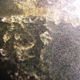 Bubbles; Publicdomain; Cc0; Freeimage;