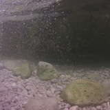 Bubbles; Publicdomain; Cc0; Freeimage;