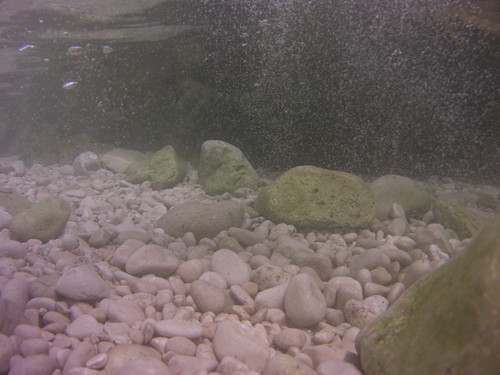 Bubbles; Publicdomain; Cc0; Freeimage;.jpg