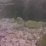 Bubbles; Publicdomain; Cc0; Freeimage;