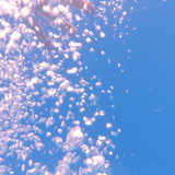 Bubbles; Publicdomain; Cc0; Freeimage;