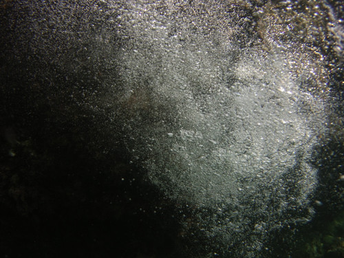 Bubbles; Publicdomain; Cc0; Freeimage;.jpg