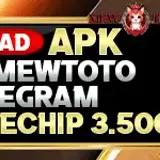 promo 17