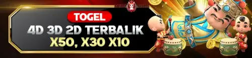 promo 13.webp