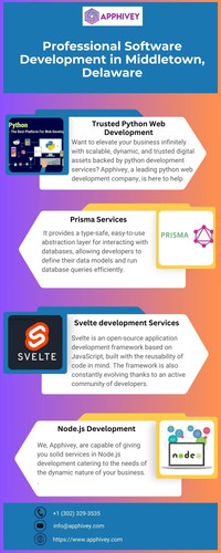 Professional Software Development in Middletown, Delaware.jpg