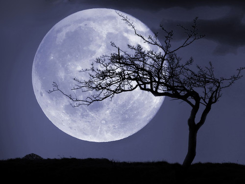 1498838810 gettyimages 461493851.jpg