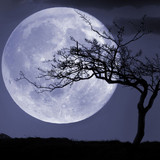 1498838810 gettyimages 461493851