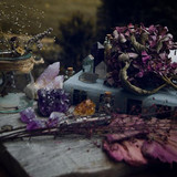 39eca8464fa1e04fccf4a44d913e9052