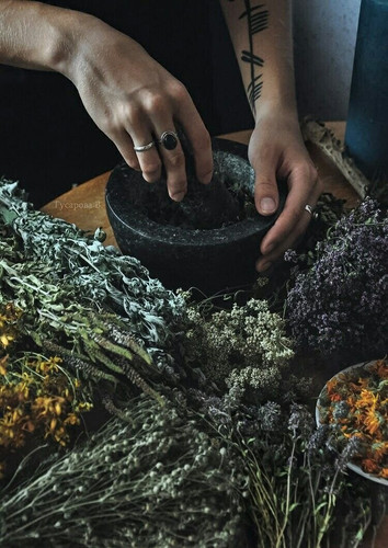Herbalism+Workshop.jpg