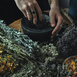 Herbalism+Workshop