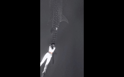 6767672941654435192634 0 ed446de2