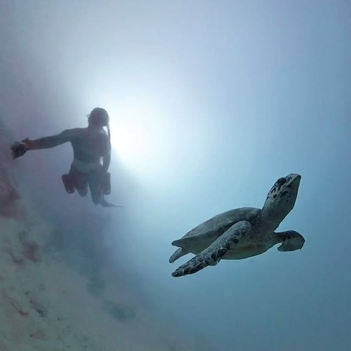 6767672941654435192634 0 ed446de2e450f1e79daa4583511b274c