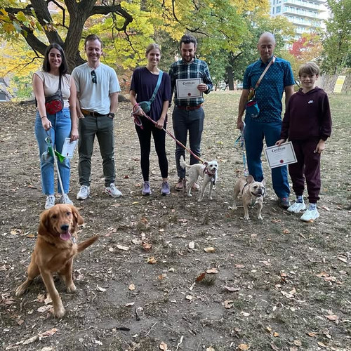 Professional Dog Trainers New York City.jpg