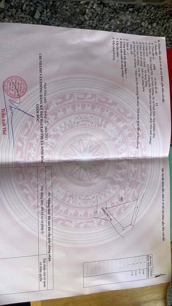 471449576 1324447002178753 3778771852084699801 n.jpg