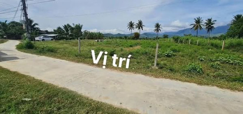 471593285 1941319249710603 642677813010837618 n.jpg