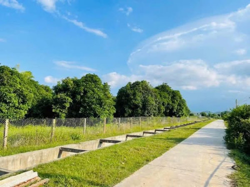 471328204 1941319293043932 4914938312514295146 n.jpg