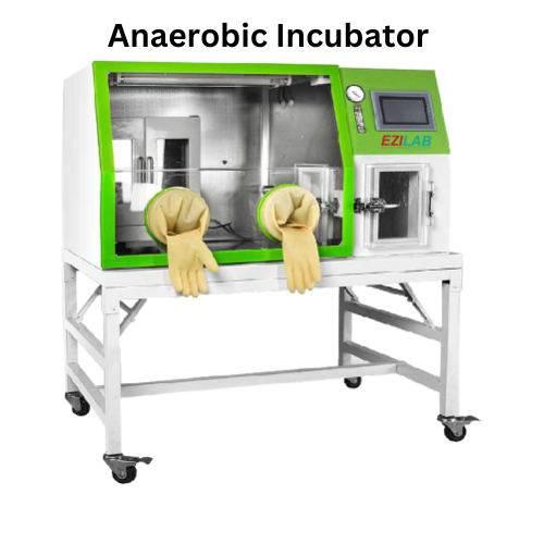 Anaerobic Incubator EZL-AI81.png