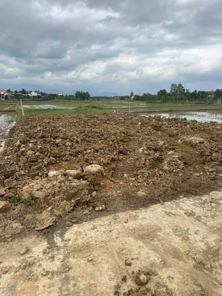 471197242 572149575709635 7028275223071479638 n.jpg