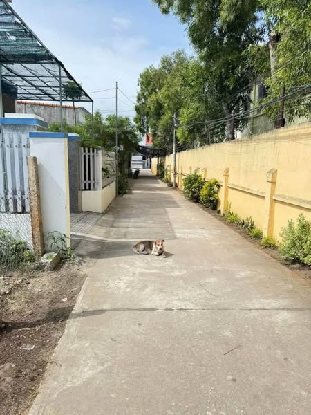 471600855 1125538175766972 4810989321372394144 n.jpg