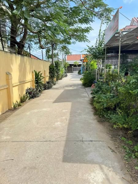 471440117 1125538212433635 8089025784761437627 n.jpg