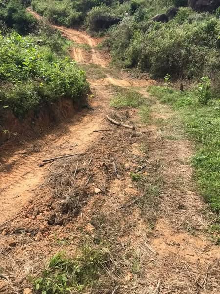 470670818 572644535660139 5708943759231005372 n.jpg