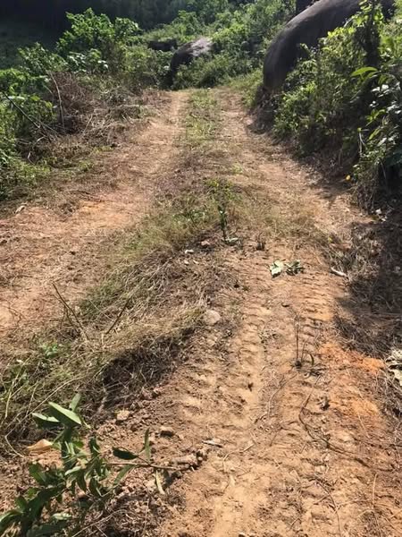 471263389 572644502326809 3212362111304600724 n.jpg