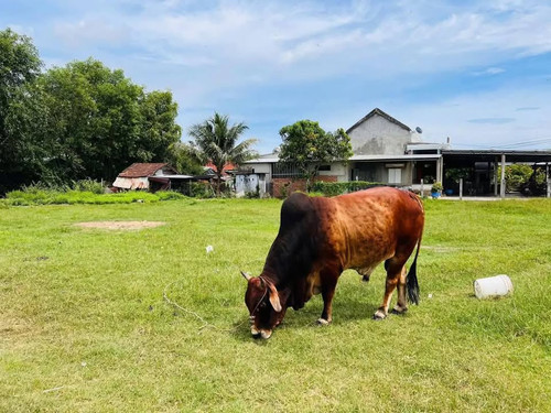 471494312 122129416424556963 1980230375130550170 n.jpg