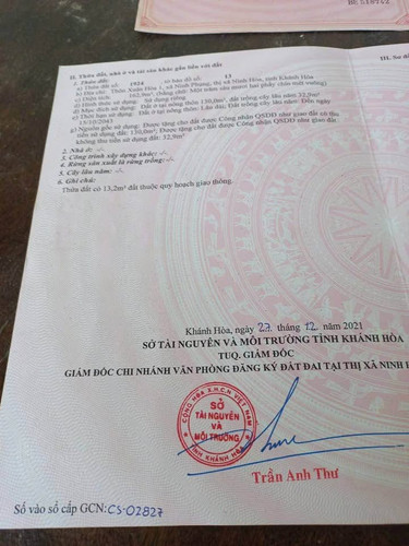 471822040 1765234587663198 6361965835636704741 n.jpg