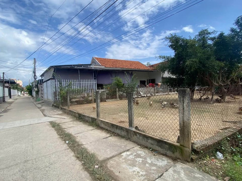 471350347 1765234654329858 5089994022004685421 n.jpg