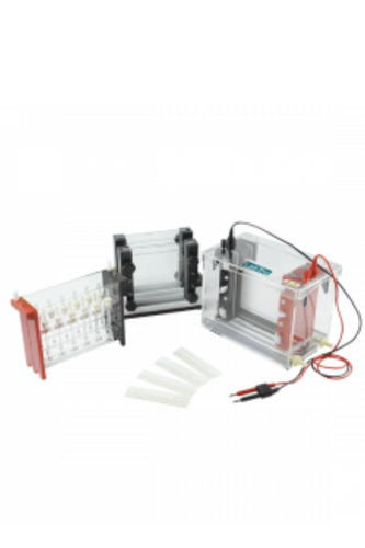 Gel Electrophoresis LT-GE401.png
