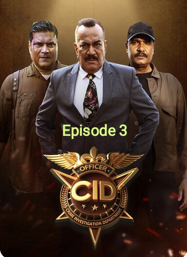 IMG 20241228 234209.jpg