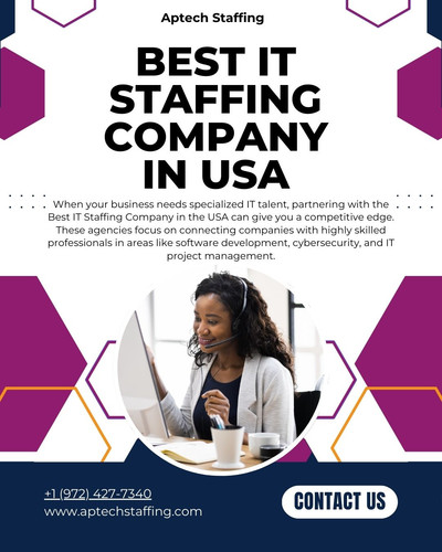 Best IT Staffing Company in USA.jpg