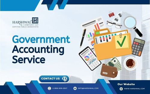 government accounting services for compliance and efficiency.jpg