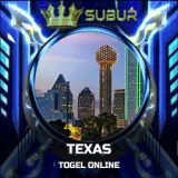 texas copy.webp