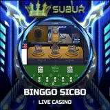 binggo sicbo copy.webp