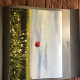 IMG 2024