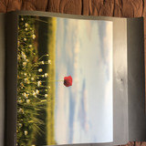IMG 2023