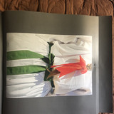 IMG 2028